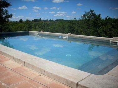 Lavende & Oleander + Place Rouge, Pern - photo 17