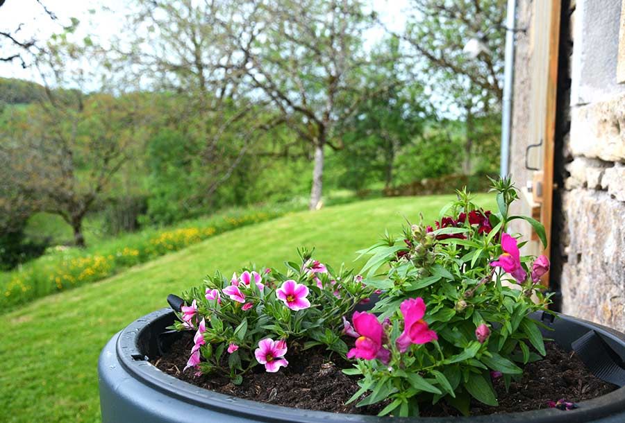 La Bocagère, Thégra - photo 7