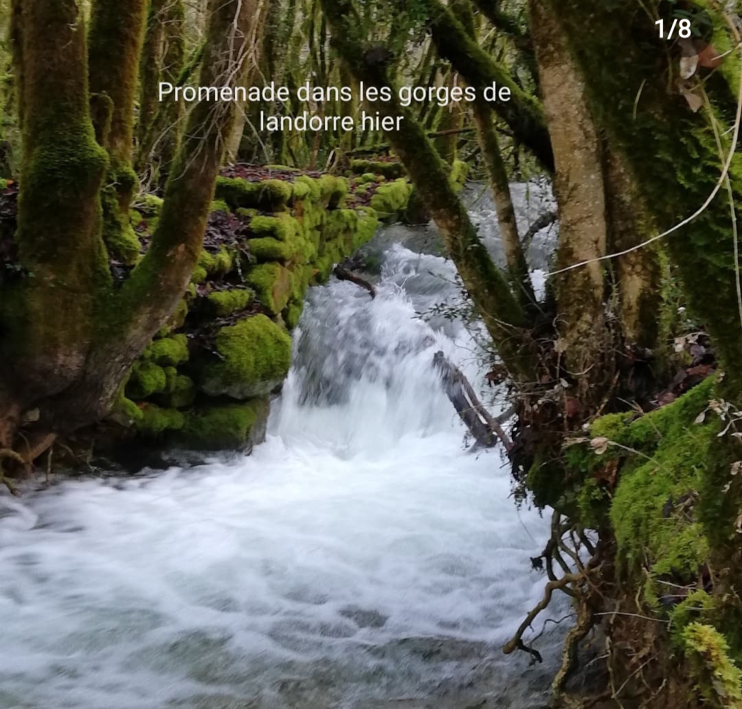 L'Etoile de Zakiel, Cambayrac - photo 34