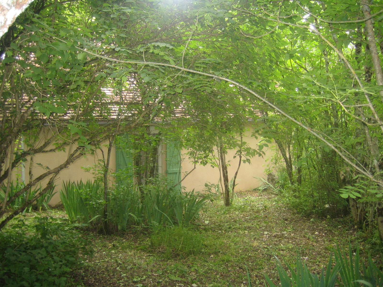 Contivay, Francoulès - photo 14