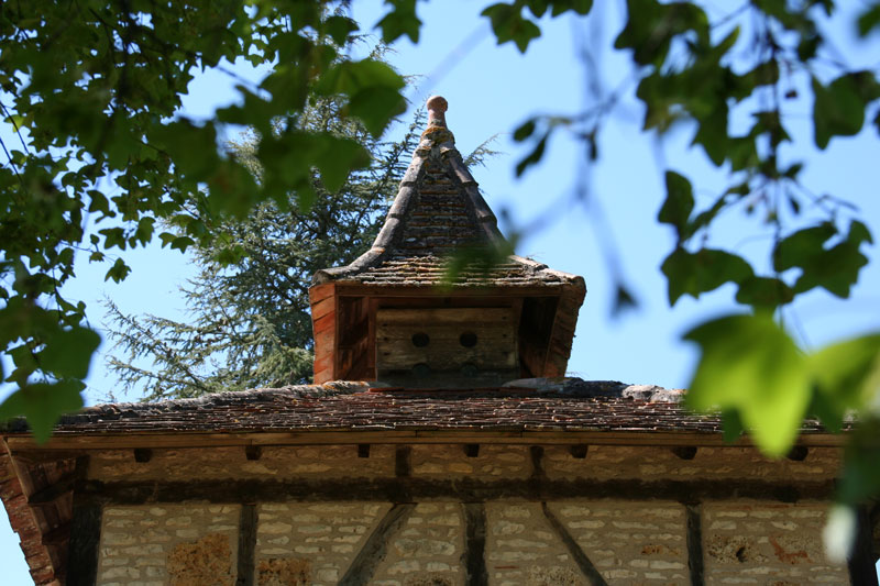 Le Lot un département à découvrir - gites dans le Lot pour les Vacances,  gites du Mas d'Aspech Lot (46)