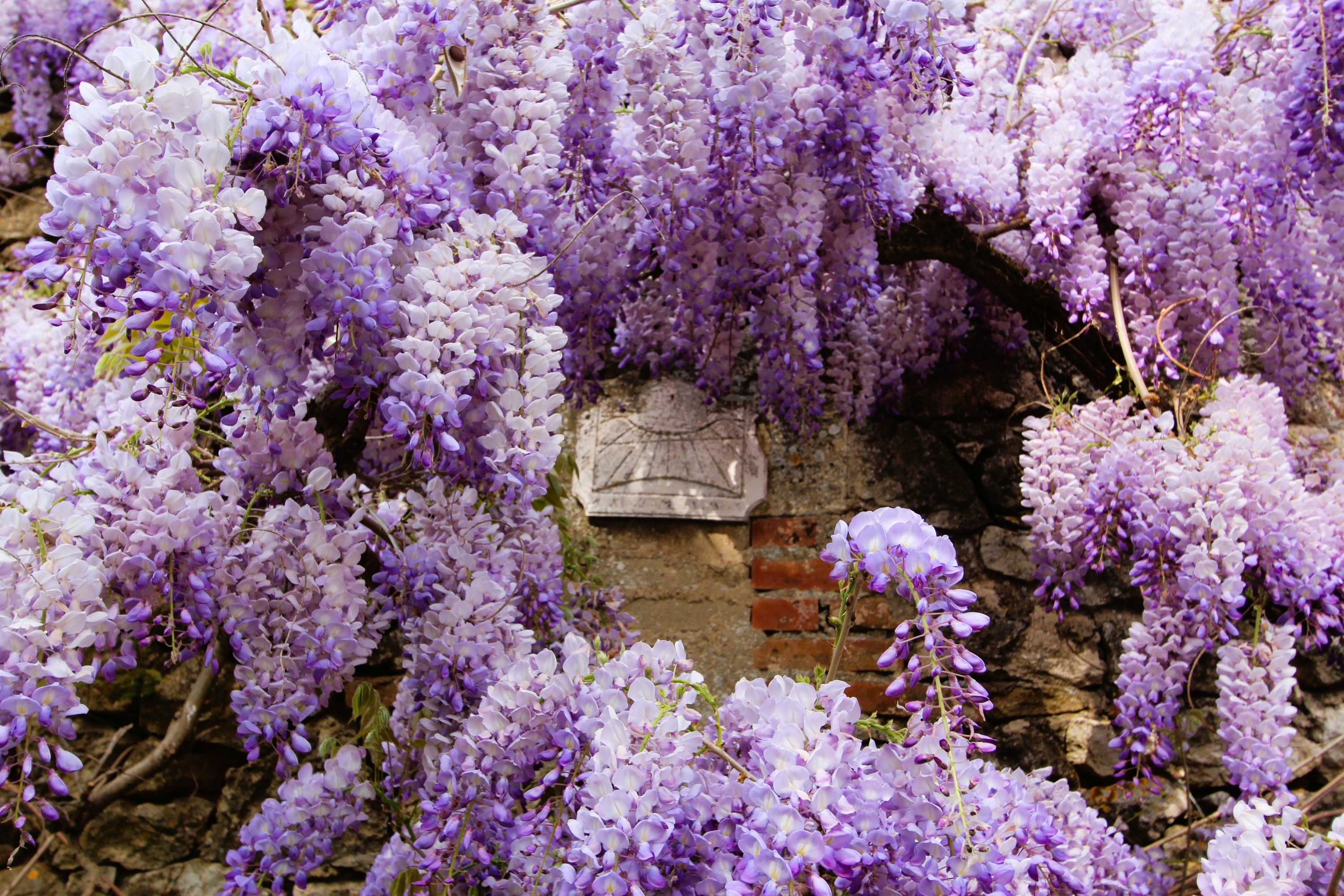 La Maison aux Glycines