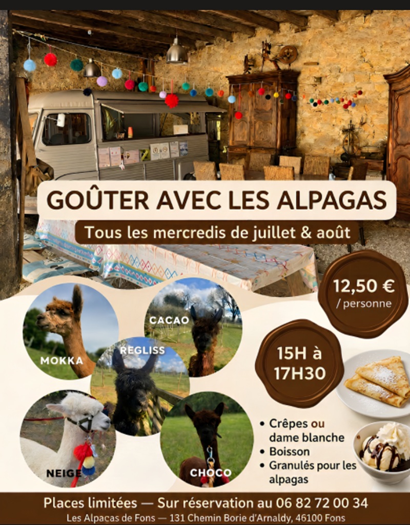 Goûter avec les alpagas