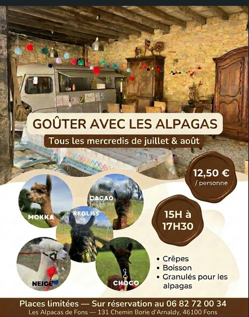 Goûter avec les alpagas