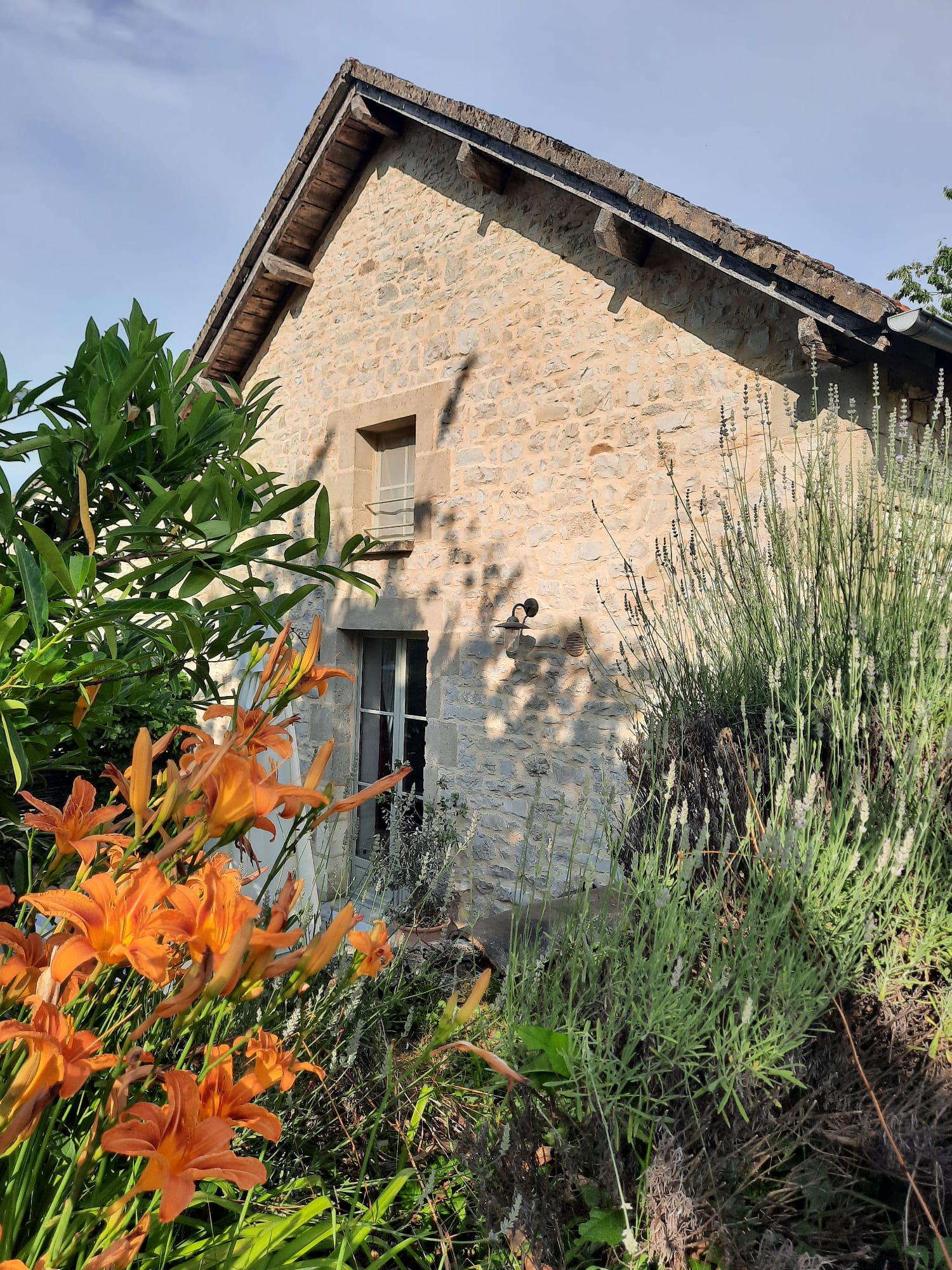 L’ Ane Papillon, Saint-Cirq-Souillaguet - photo 30