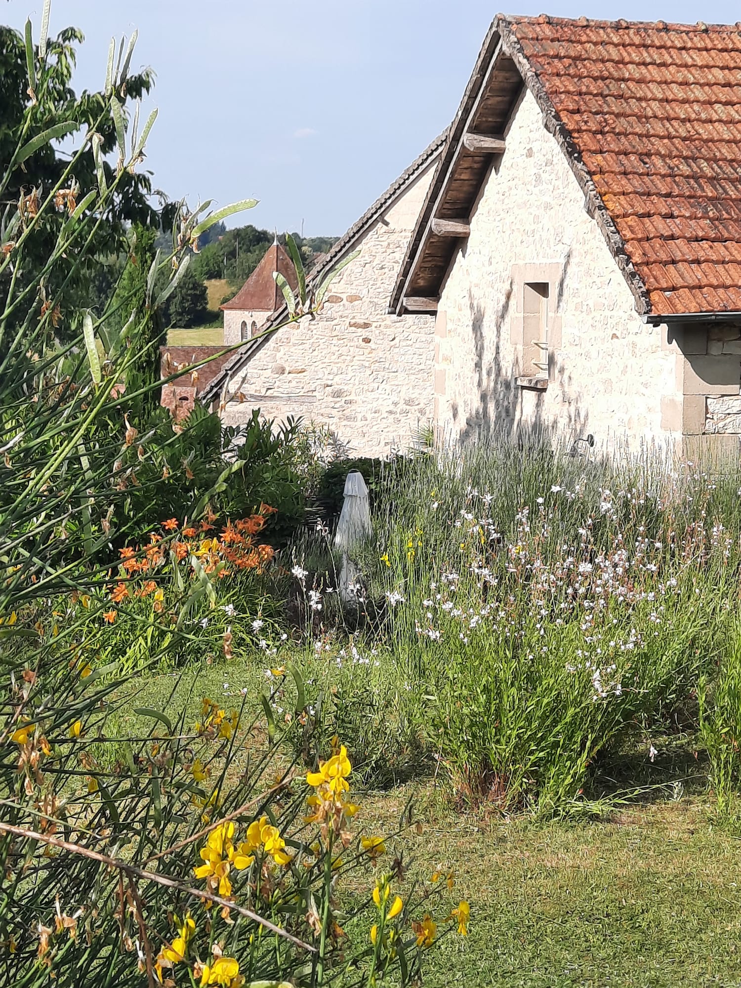 L’ Ane Papillon, Saint-Cirq-Souillaguet - photo 31