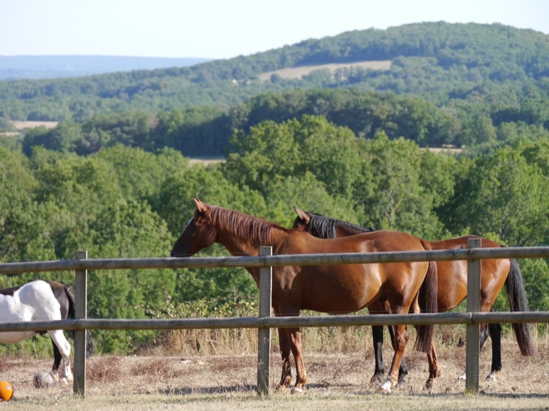 Domaine de Grand Lac "les Rapiettes", Martel - photo 13