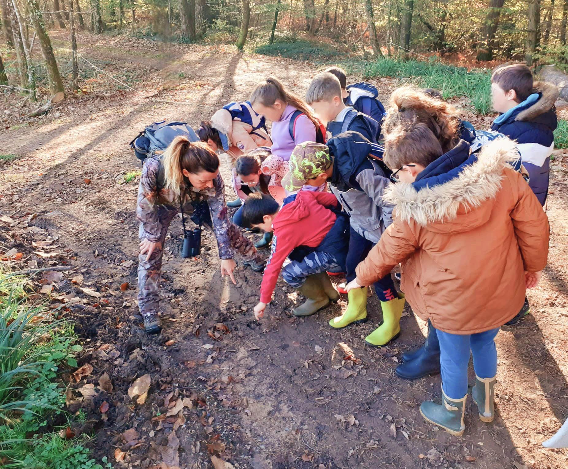 My Pause Nature, Montet-et-Bouxal - photo 9