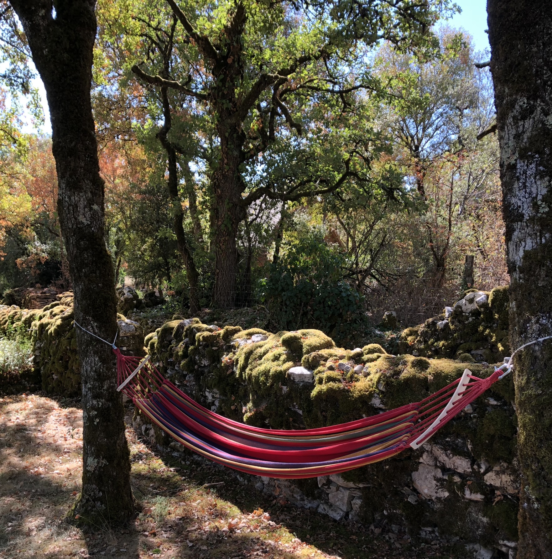 Chambre Axelle - Domaine de la Claire Fontaine, Montvalent - photo 7