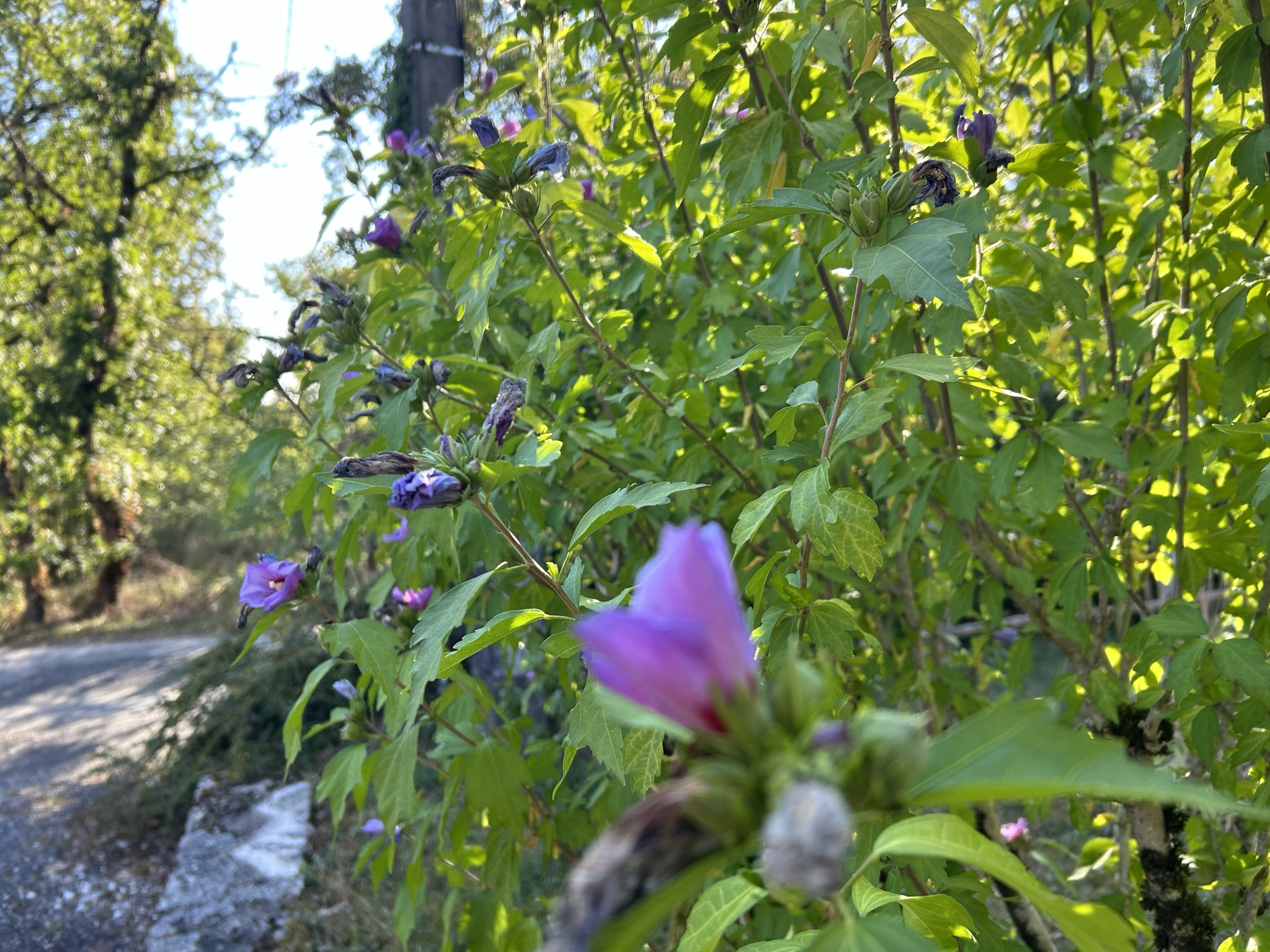 Gîte Noah avec spa privatif - Domaine de la Claire Fontaine, Montvalent - photo 12