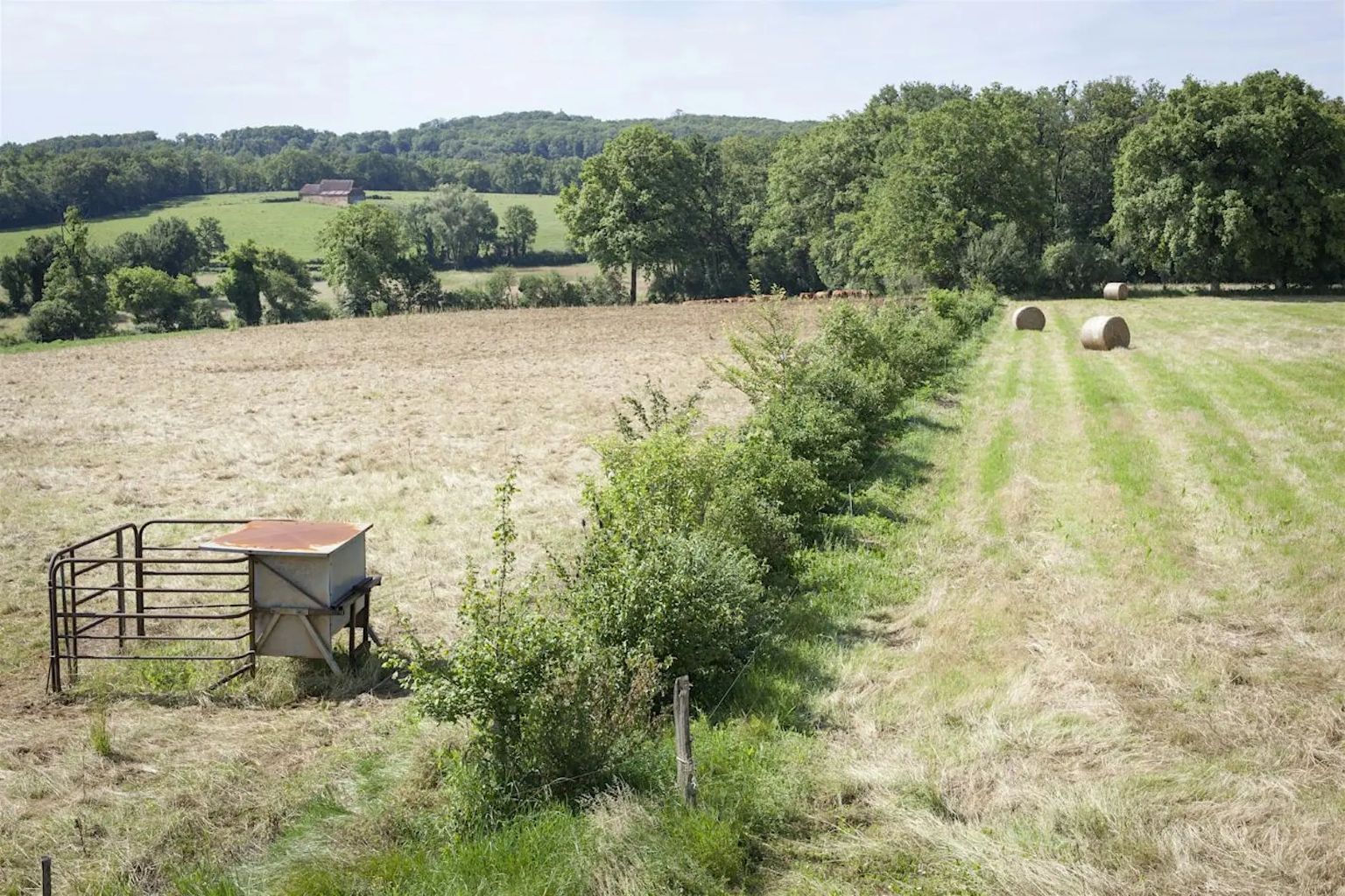 Des arbres et des champs, agroforesterie, table ronde à Assier — visuel événement