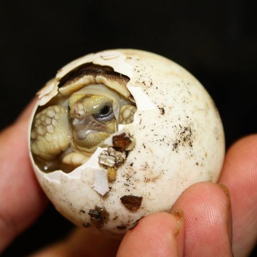 PadiParc, Padirac - photo 8