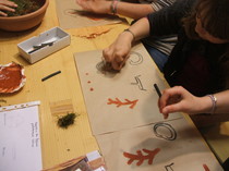 Les ateliers enfants de la Maison du Piage :  " Atelier peinture préhistorique et visite du Musée"