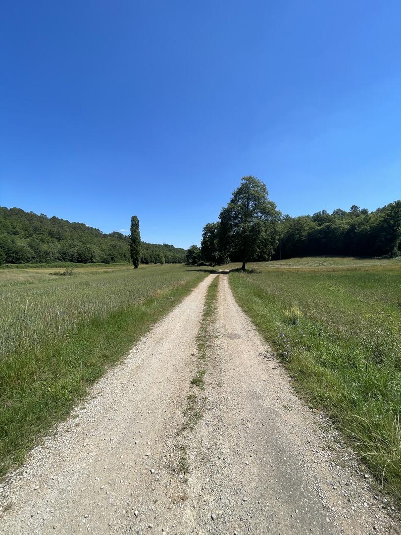 Au gré de la Thèze, Frayssinet-le-Gélat - photo 6