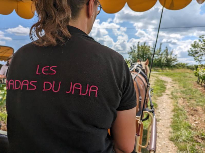 Vigne au pas, Villesèque - photo 5