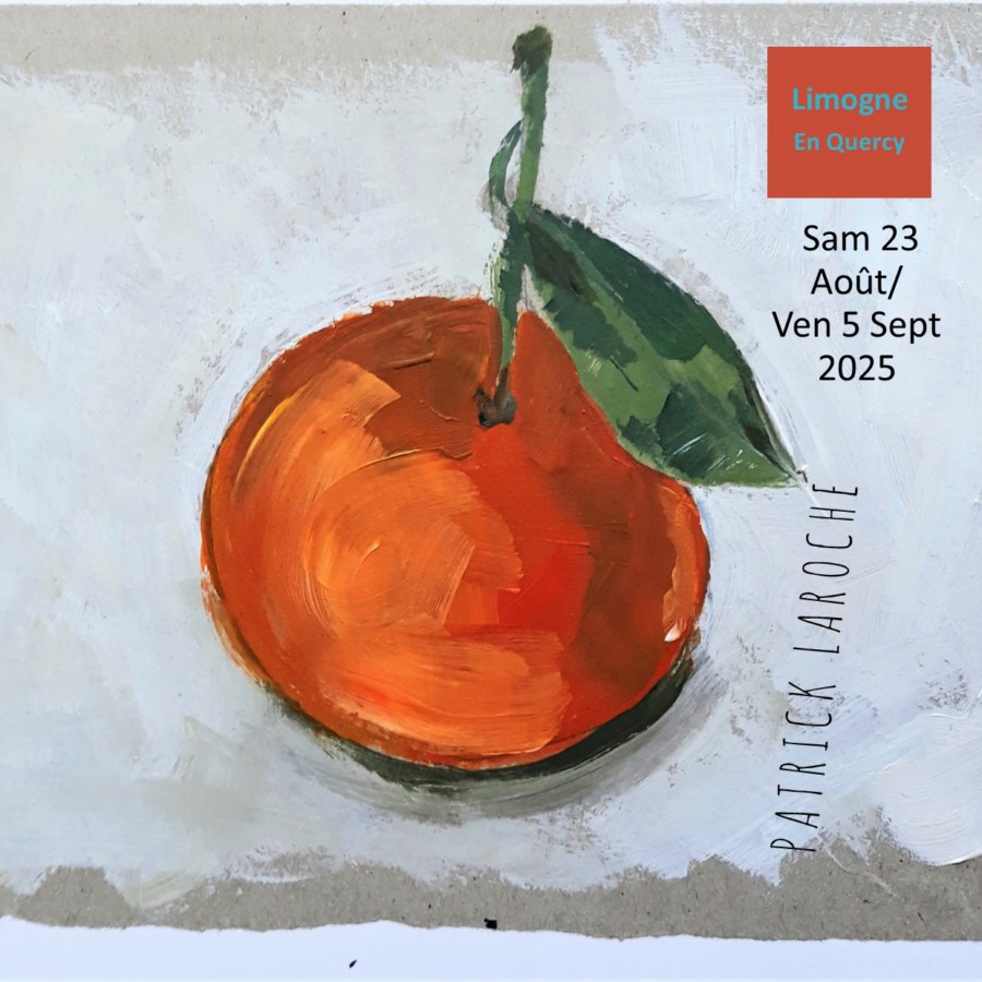 Exposition de Patrick Laroche