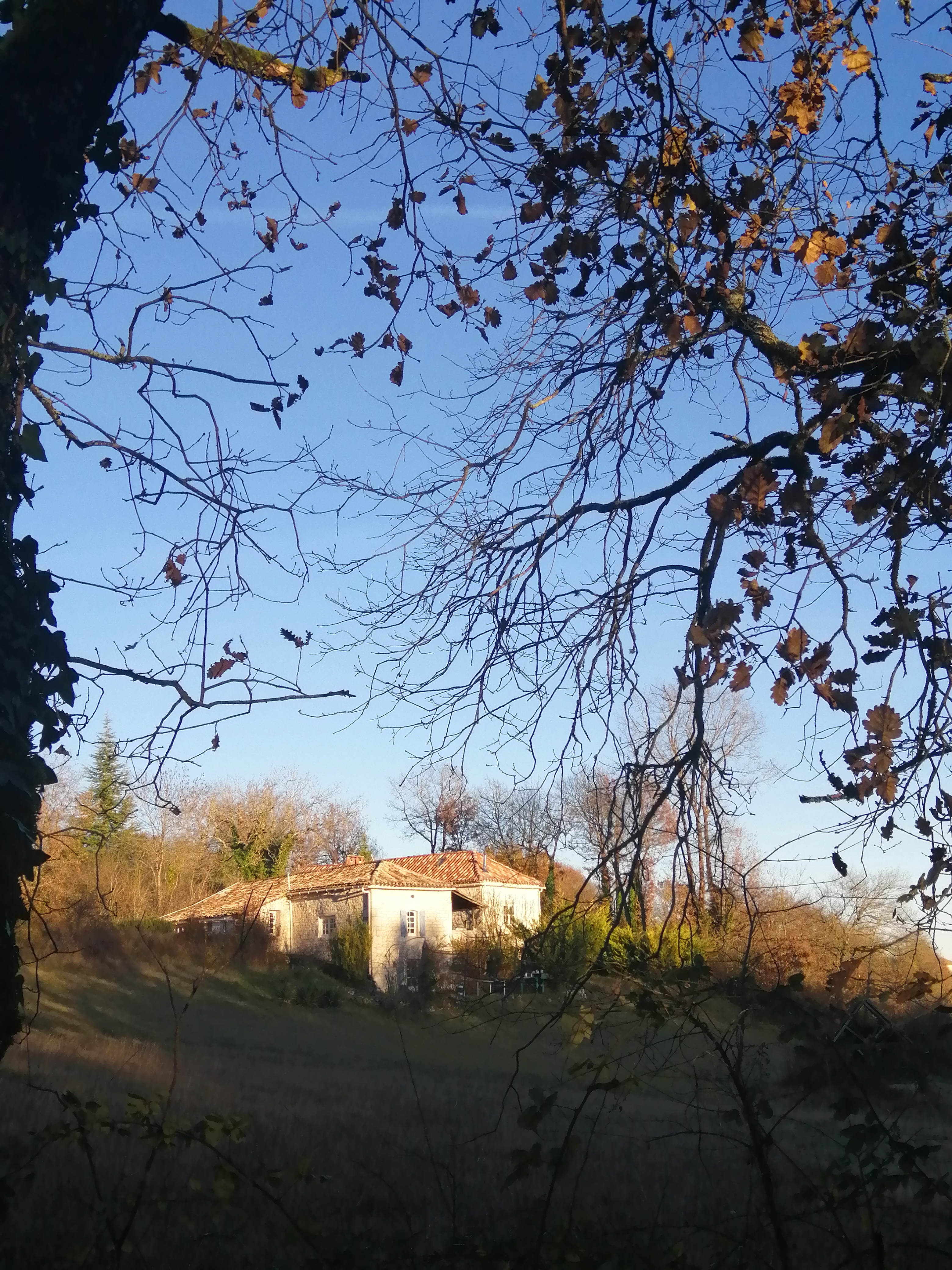 Les Gîtes de Vidalot, Montcuq-en-Quercy-Blanc - photo 4