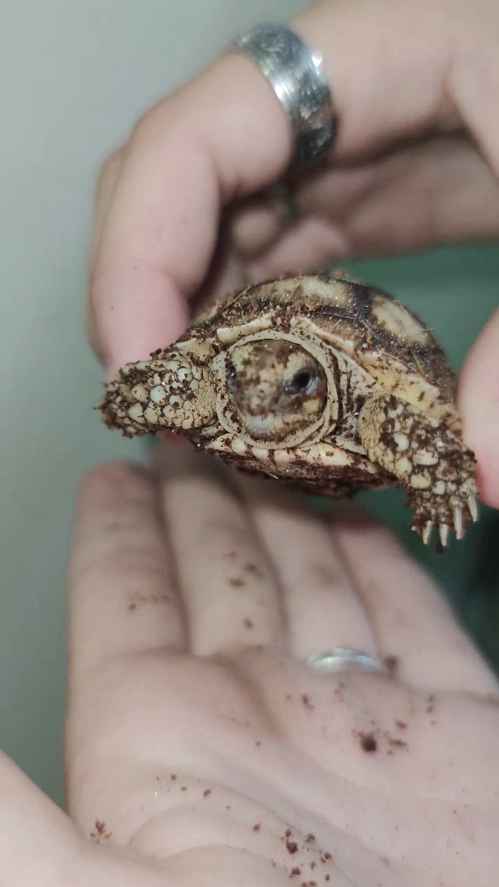 PadiParc, Padirac - photo 9