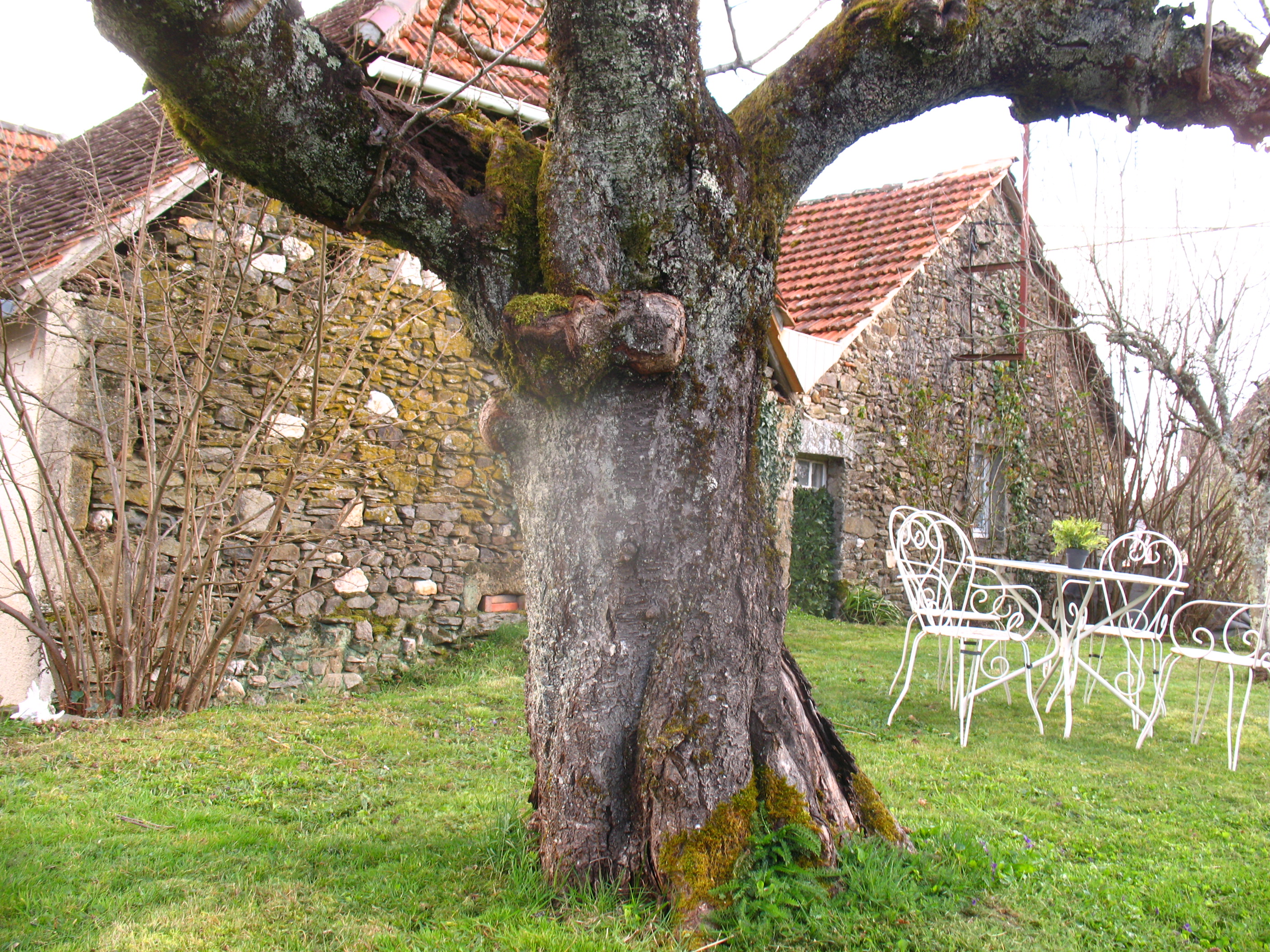 Le Cosy Nid, Leyme - photo 3