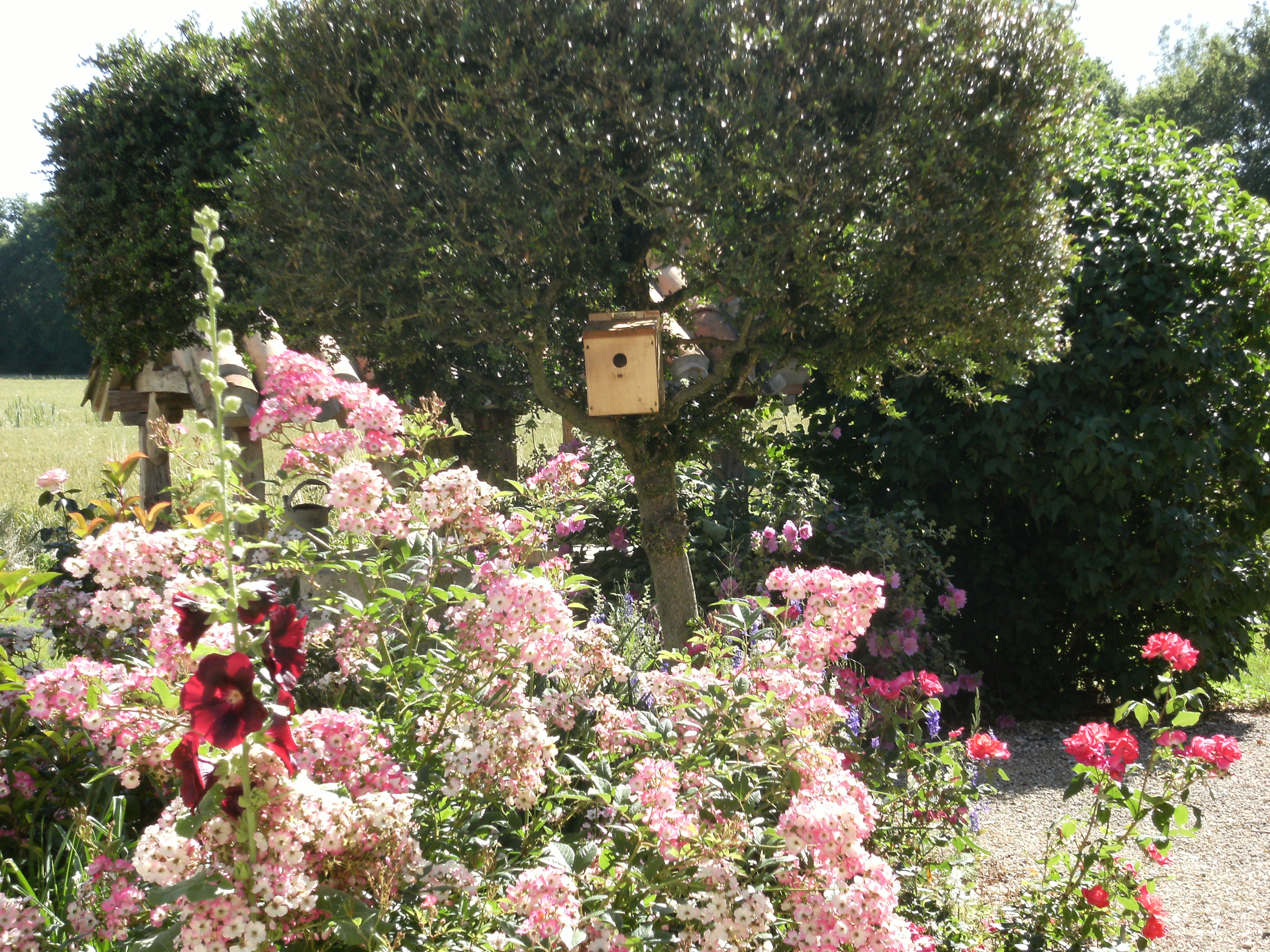 Le Moulin de Loys, Lendou-en-Quercy - photo 30