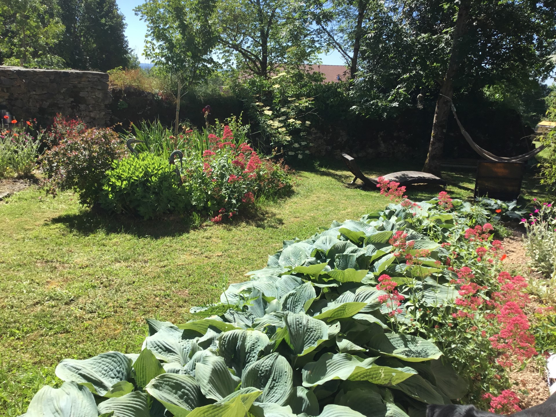 Mas de Lagraville Haute, Faycelles - photo 16