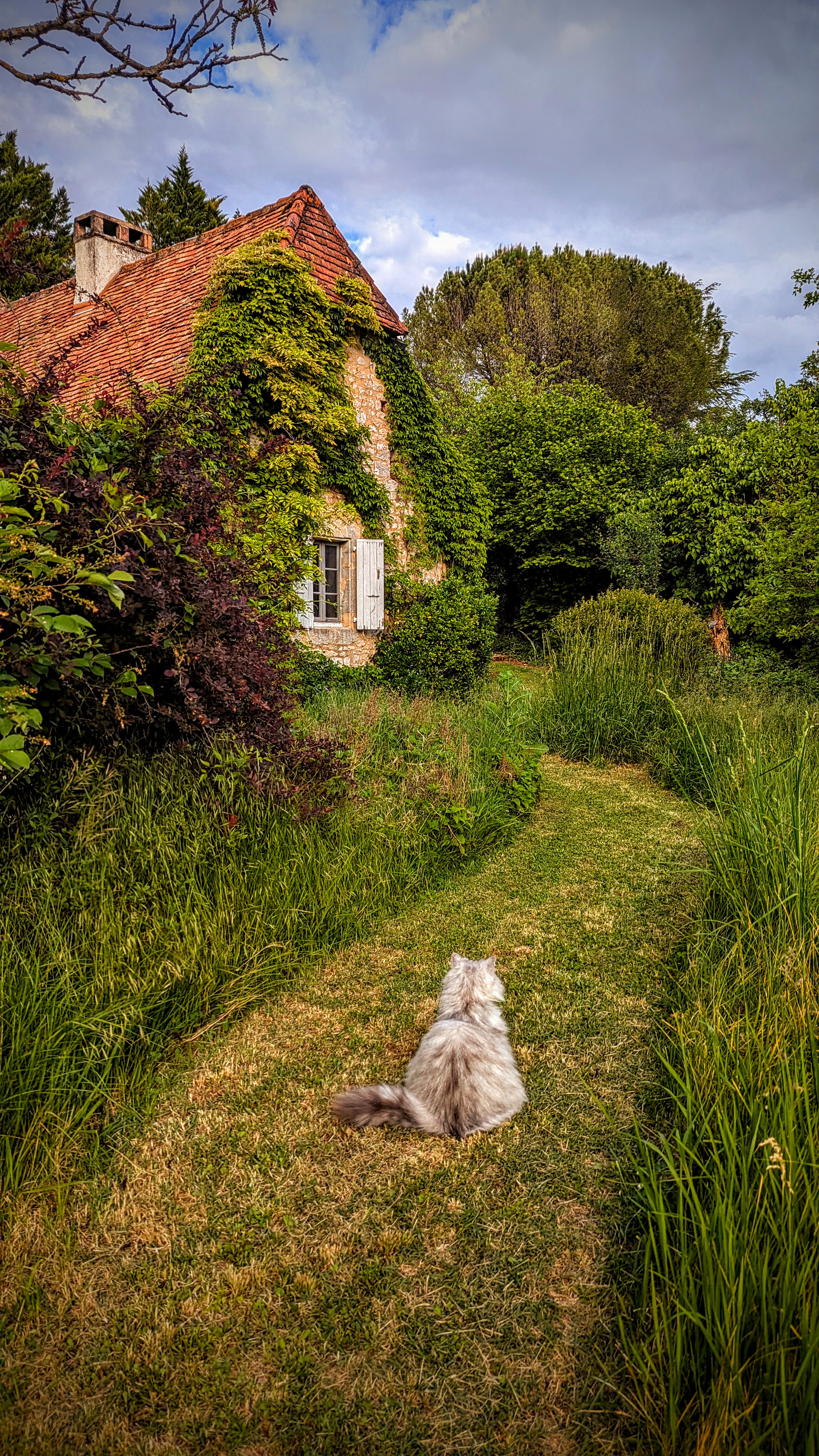 jardin privé et façade du gite