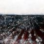 judy walsh