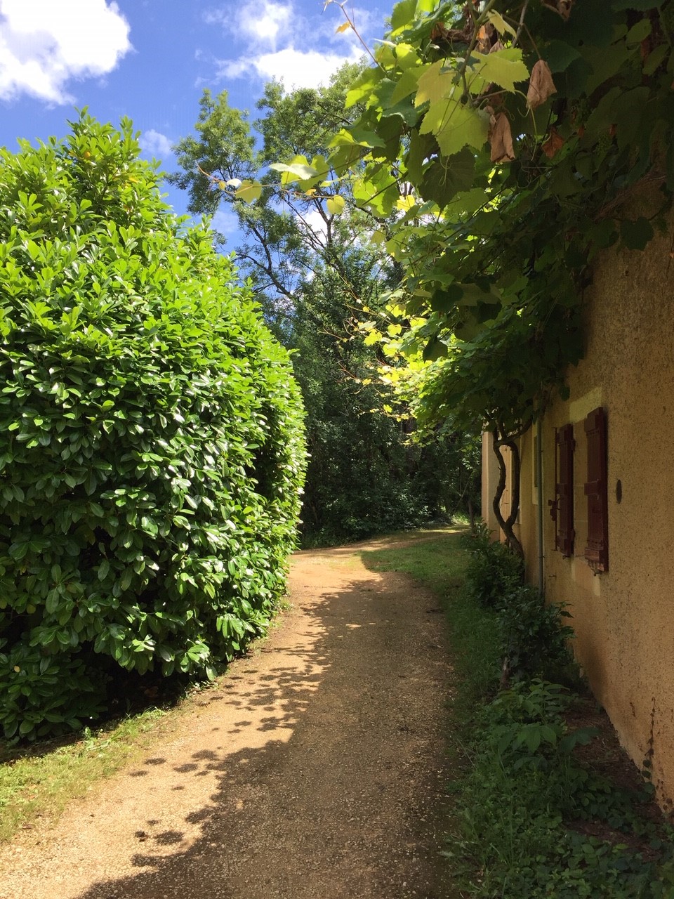 Gîte Belle Fleurie  - Bouysset, Saint-Martin-le-Redon - photo 9
