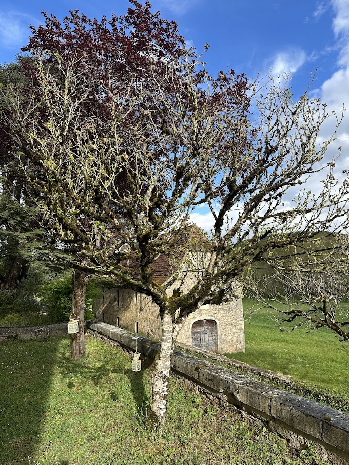 Domaine de Nazac, Saint-Sulpice - photo 21