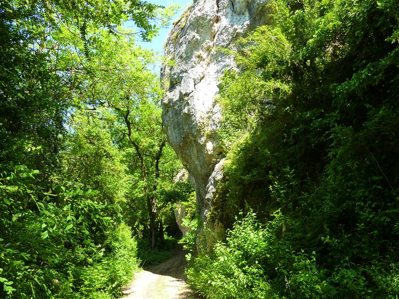 la Carderie - Sous le Combe du Drap_02 © Lot Tourisme - C. Sanchez