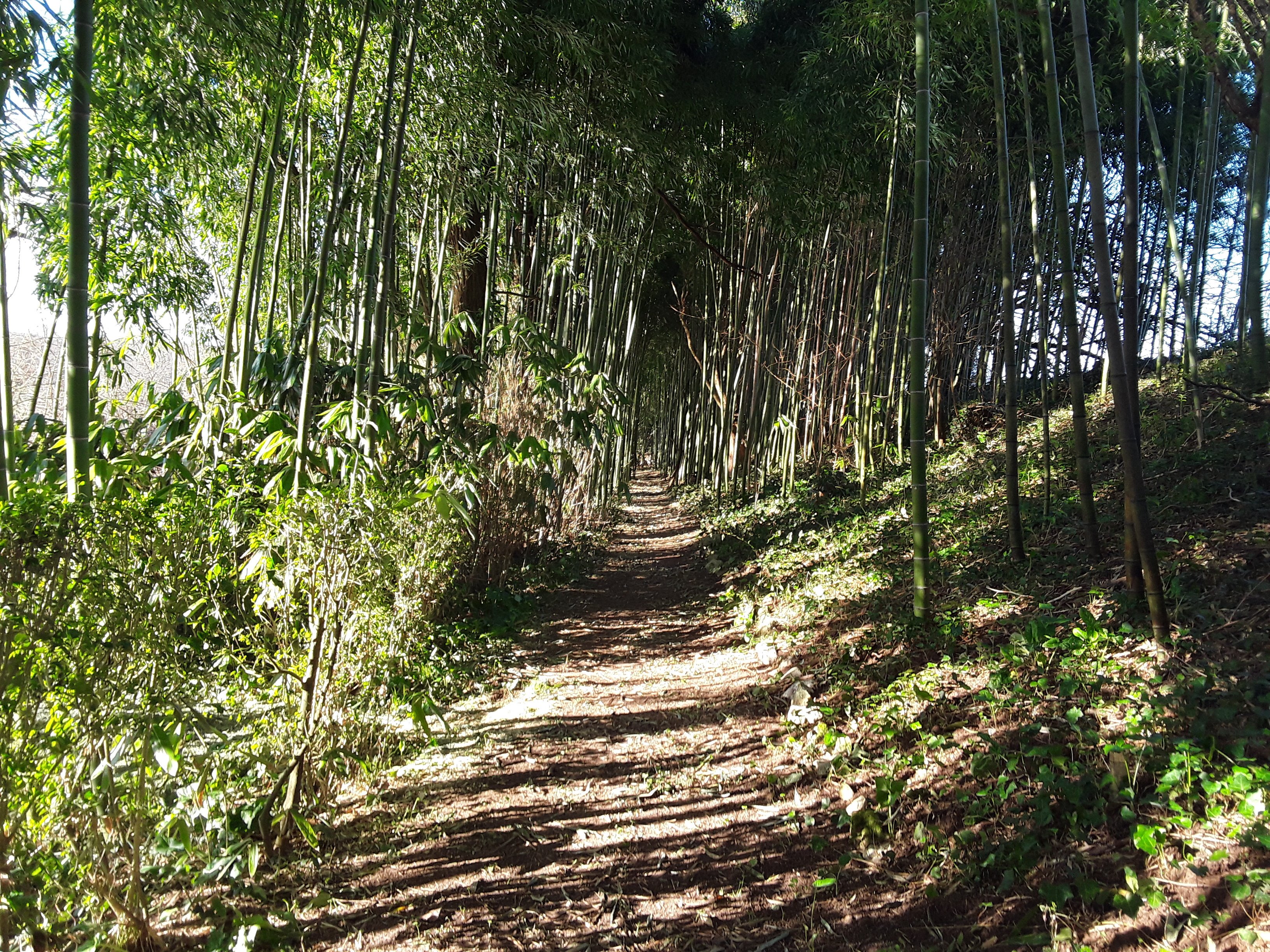 Domaine De La Source Bleue - La Tour, Touzac - photo 9