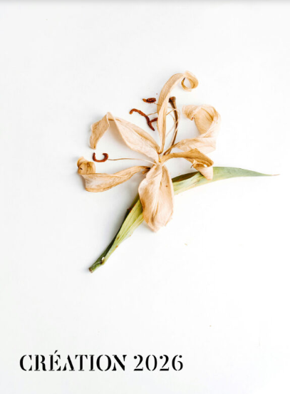 Festival de Rocamadour: Media Vita