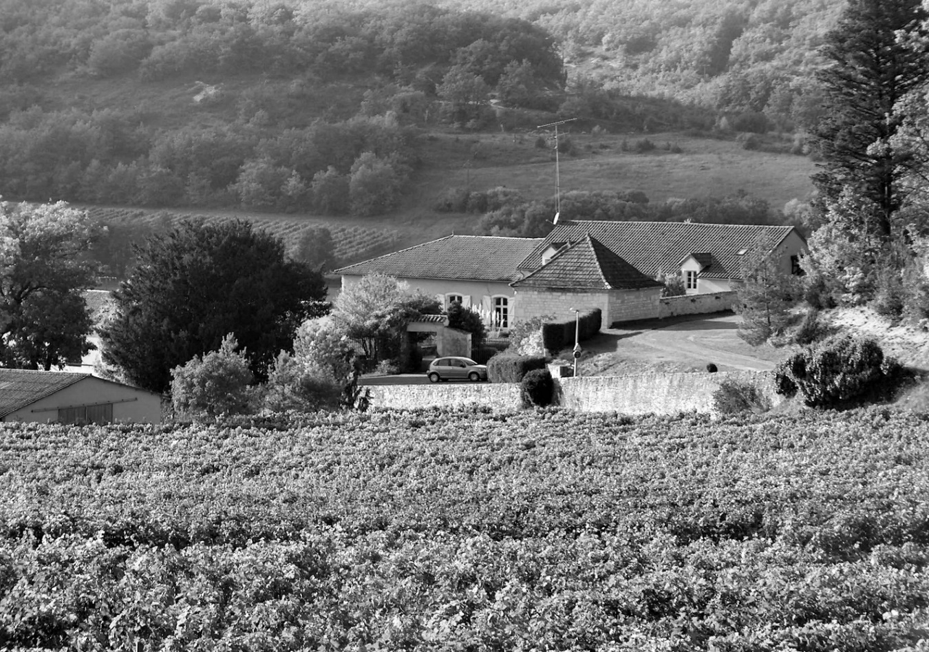Domaine de Lacoste
