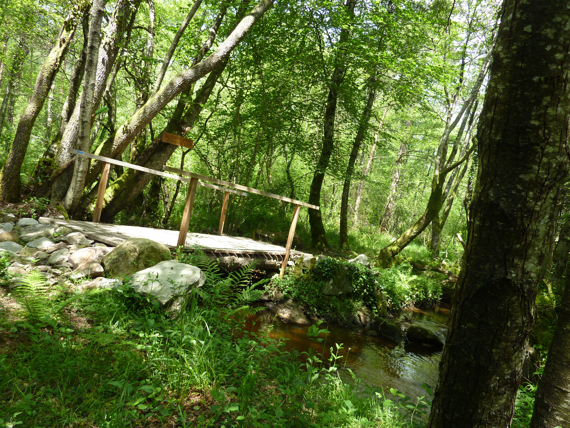 Les Jardins du Ségala, Sousceyrac-en-Quercy - photo 24