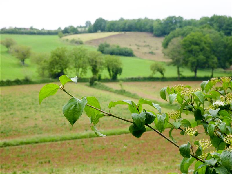 le Mas Cavalié - Campagne lotoise_01 © Lot Tourisme - C. Sanchez