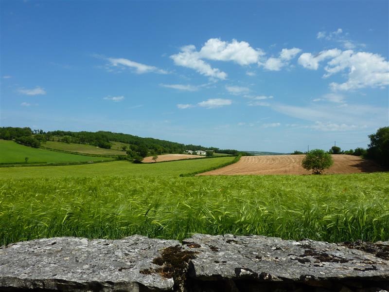 le Mas Delfour - Campagne lotoise_10 © Lot Tourisme - C. Sanchez