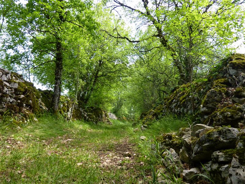 le Peyrefit - chemin herbeux entre murets de pierres _03 © Lot Tourisme - C. Sanchez