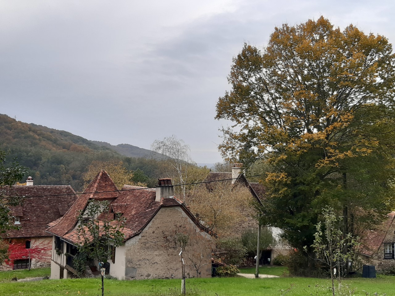 Gîte Mosaïque, Latouille-Lentillac - photo 11