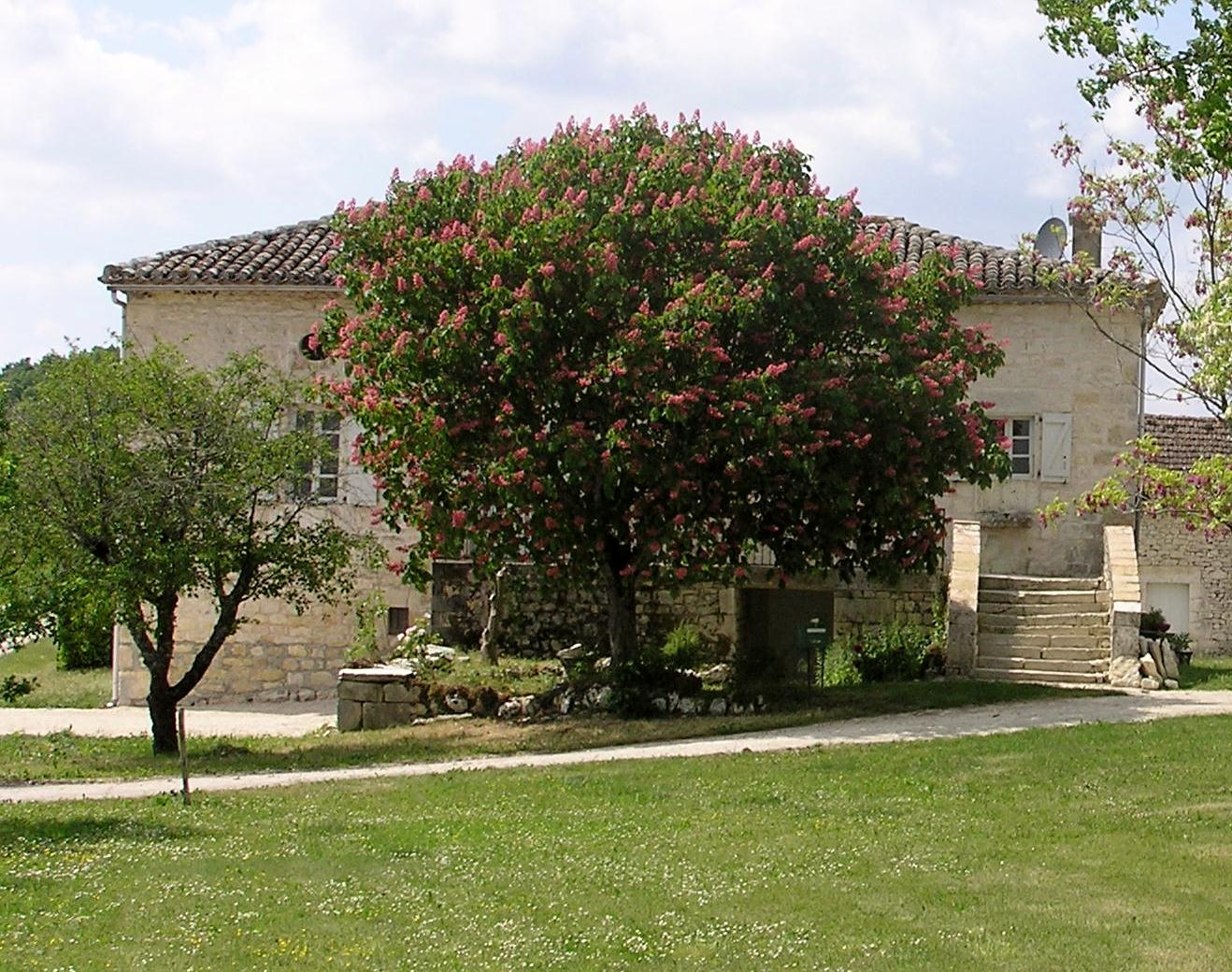 Le Presbytère, Fontanes - photo 8