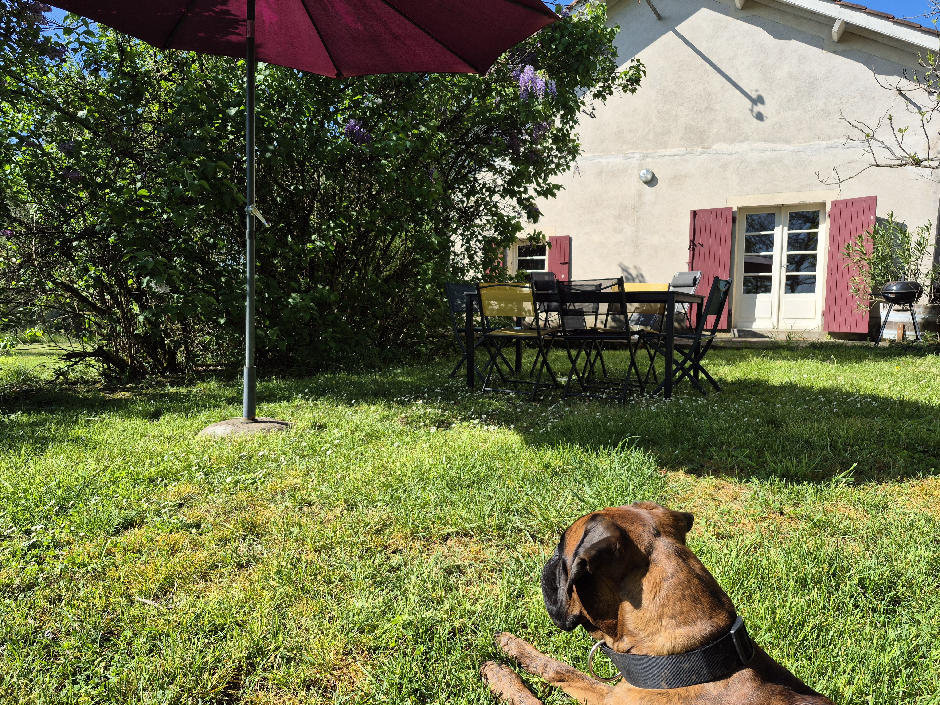 Lou Bas, Albas - photo 10