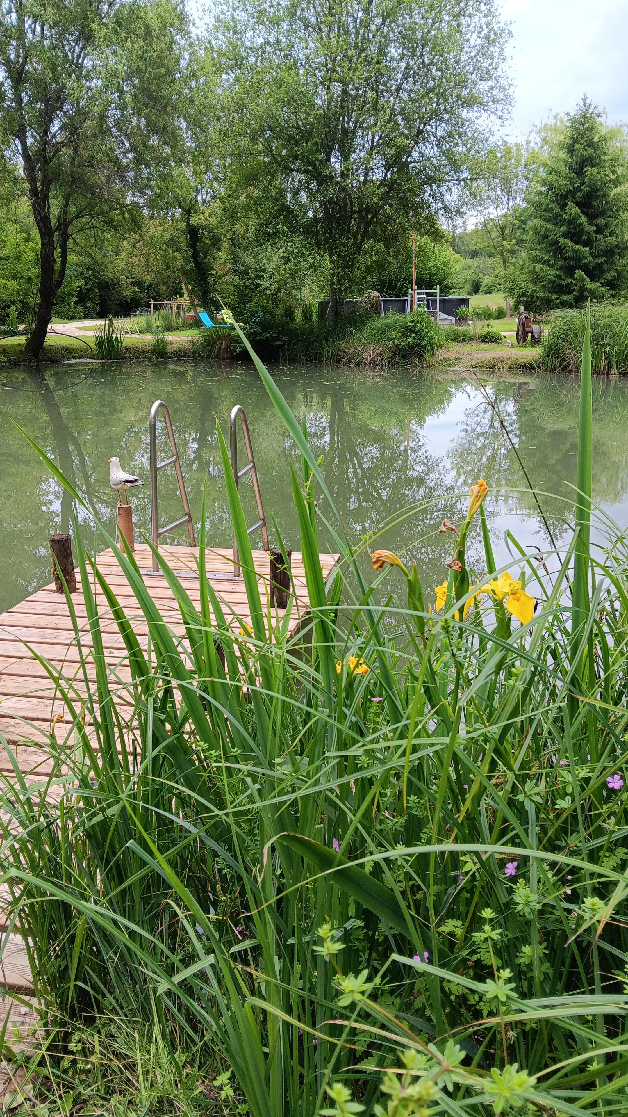 Gîte La Passion - Studio, Montcabrier - photo 8