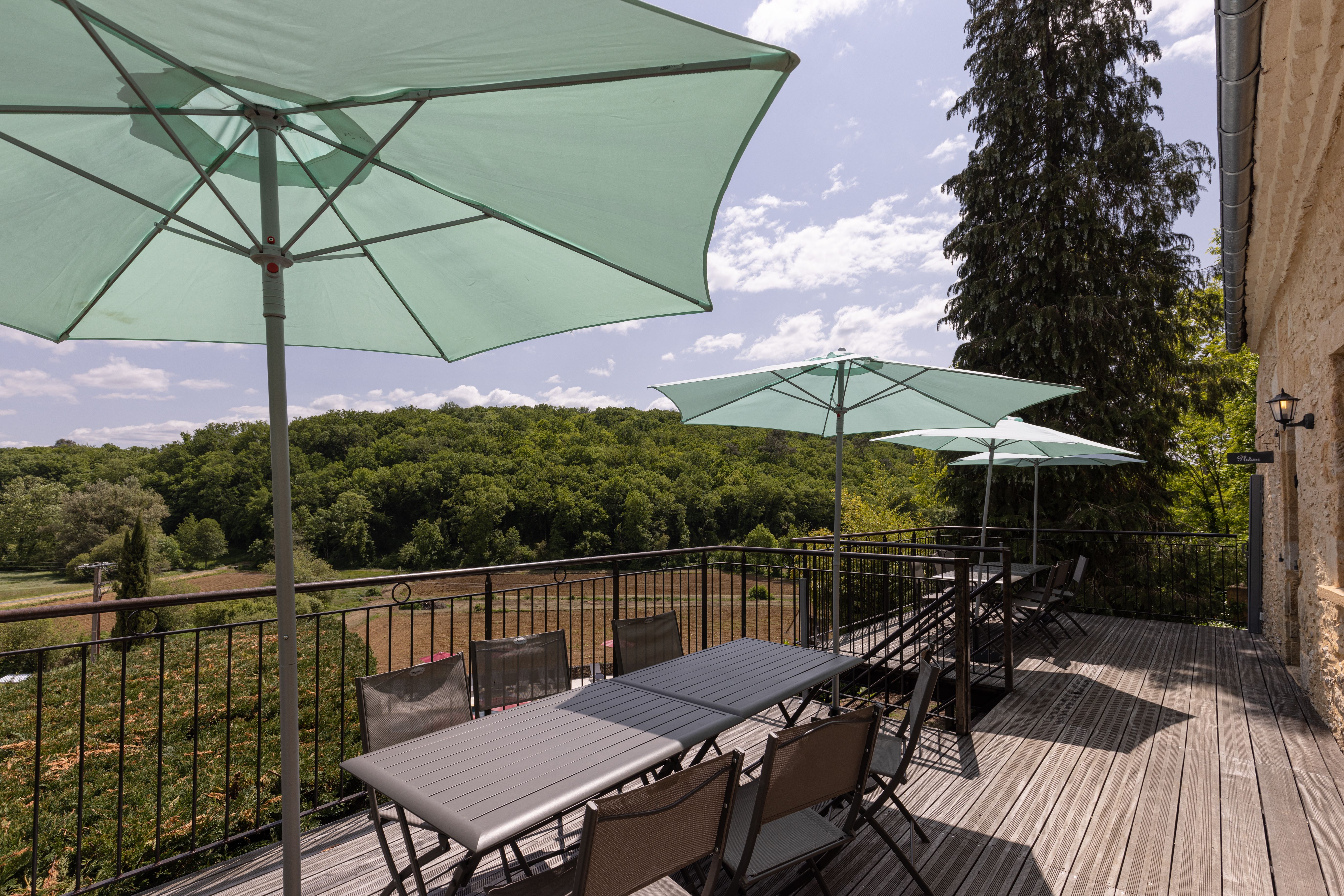 Domaine Les Maurelles :  Platane