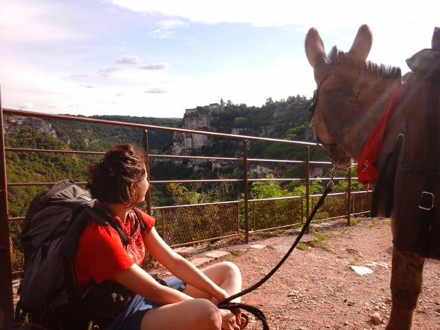 Les Ânes du Causse, Floirac - photo 2
