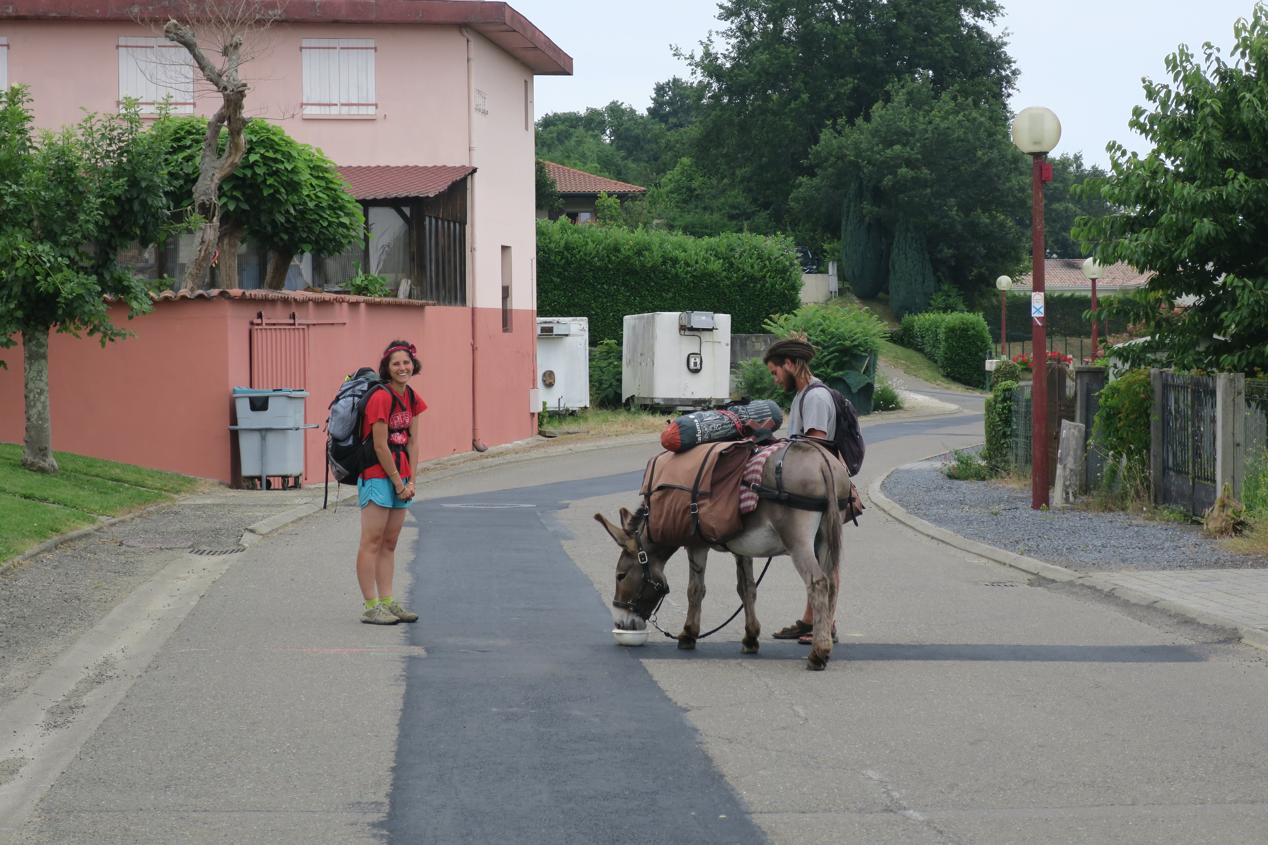 Les Ânes du Causse, Floirac - photo 3
