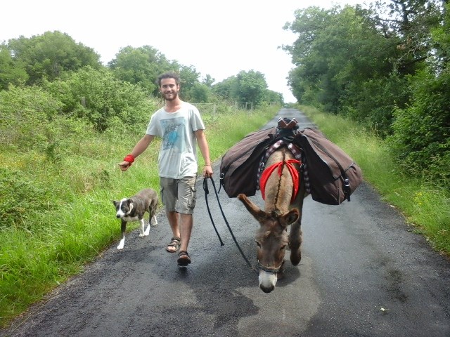 Les Ânes du Causse, Floirac - photo 4
