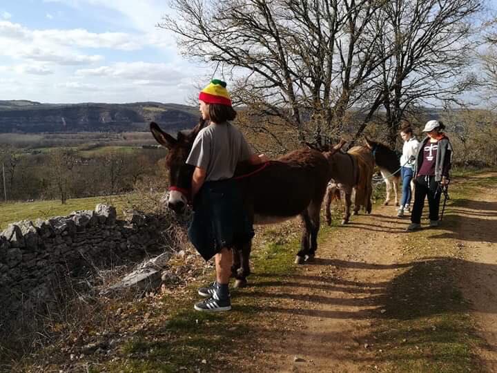 Les Ânes du Causse, Floirac - photo 5