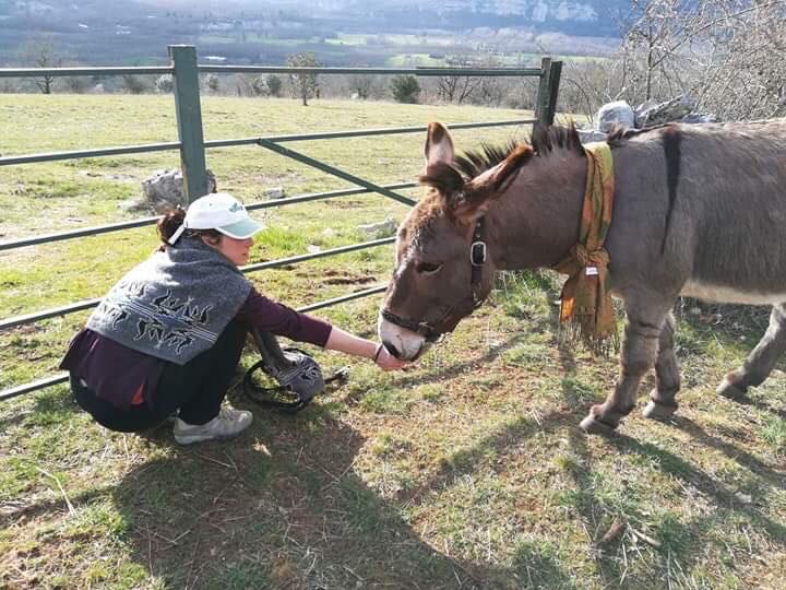 Les Ânes du Causse, Floirac - photo 6