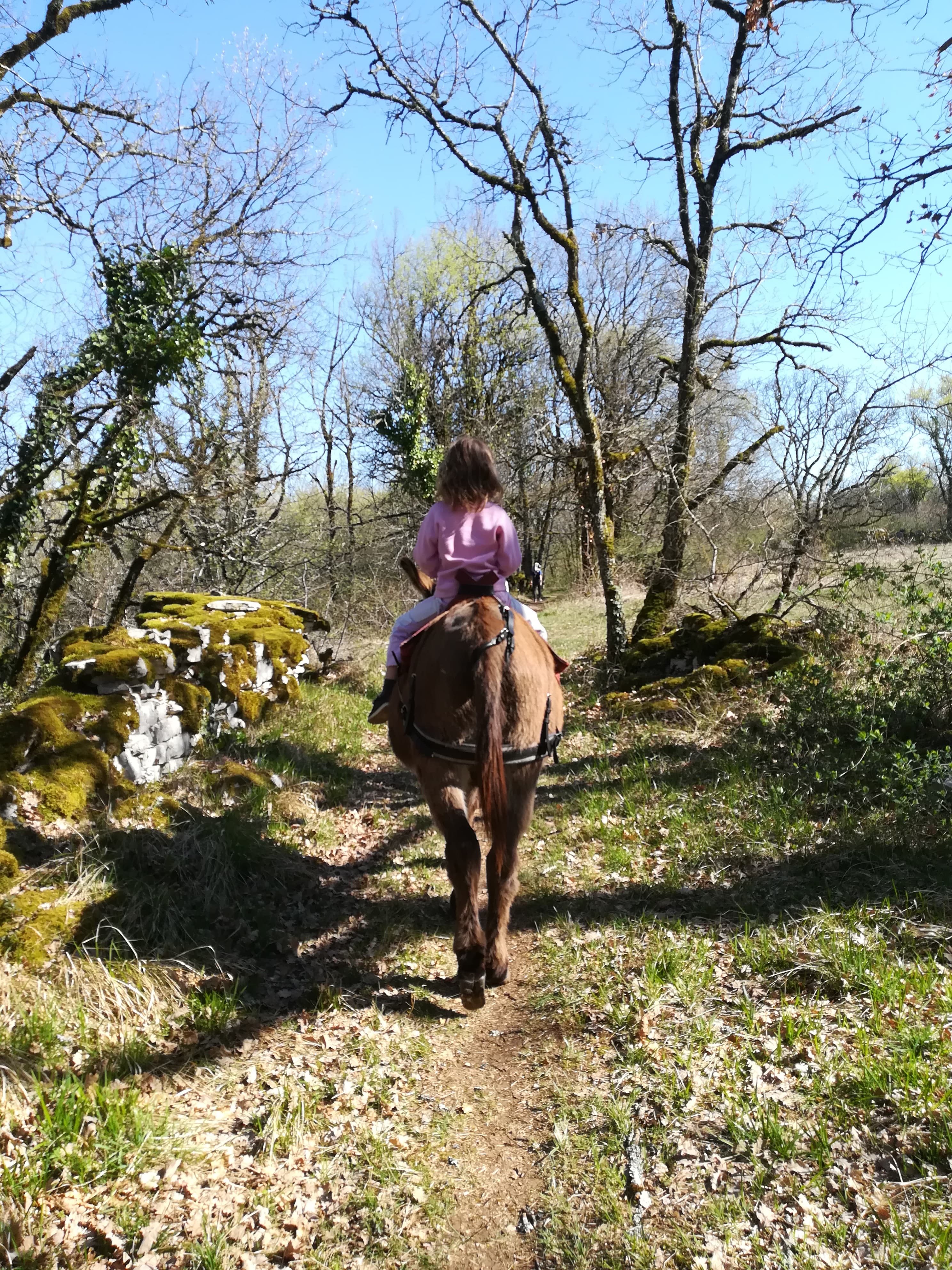 Les Ânes du Causse, Floirac - photo 8