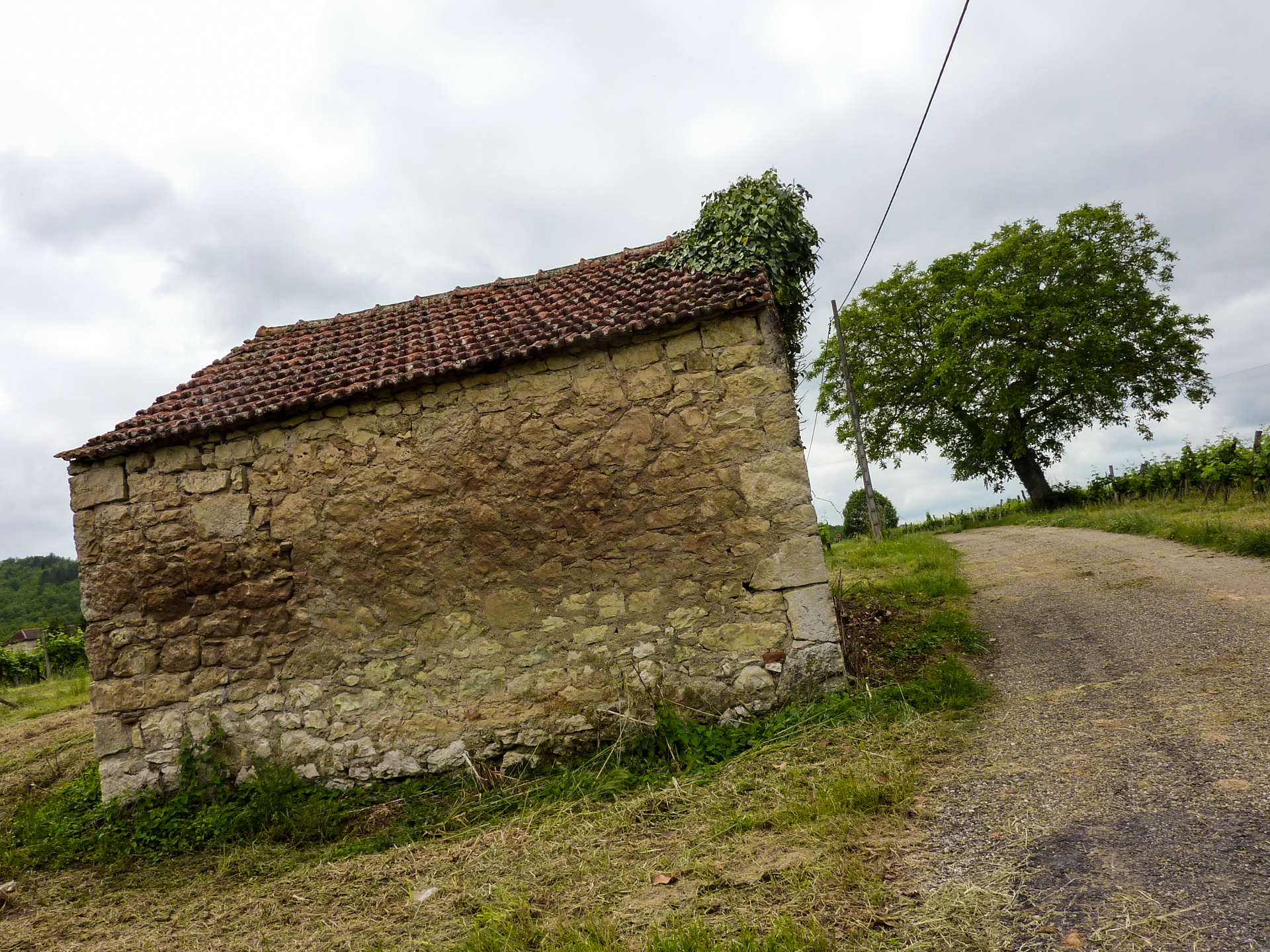 Sur la Route des Vignes, Parnac - photo 14