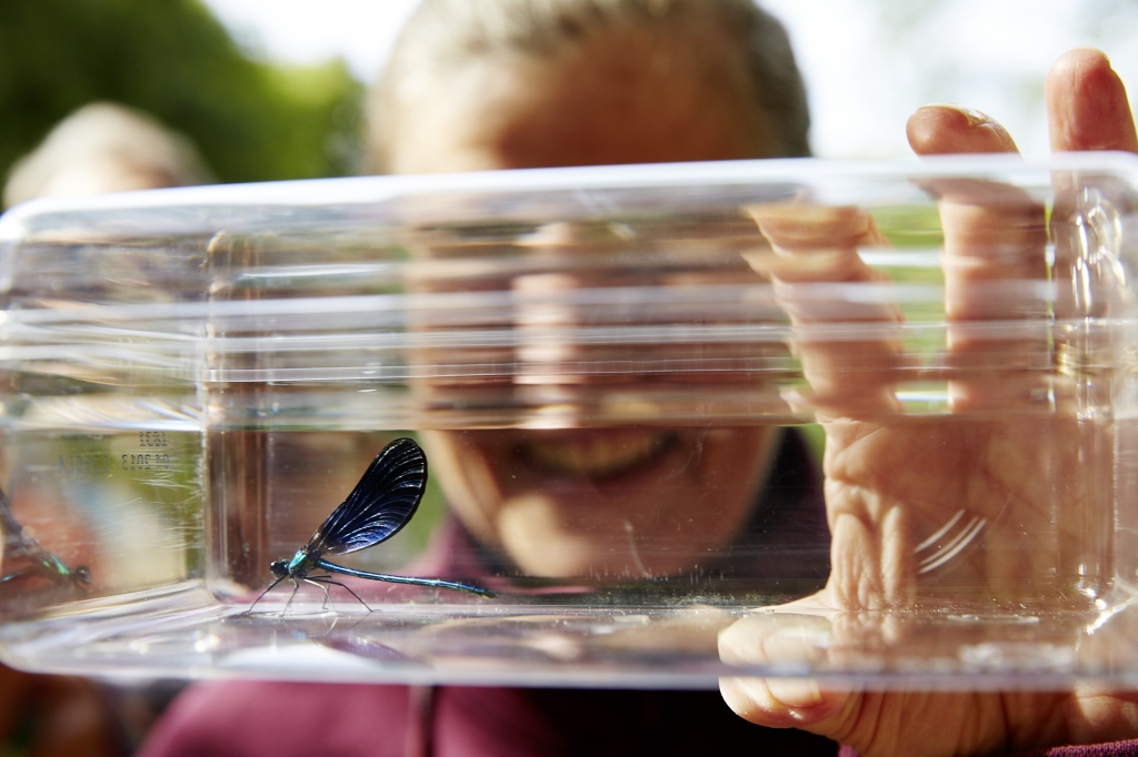 Menons l'Enquête :  Les trésors de la Forêt